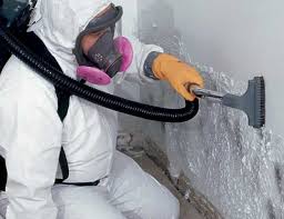 Best Water Damage & Mold Remediation  in Nes, IL